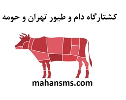 تصویر کشتارگاه دام و طیور تهران و حومه